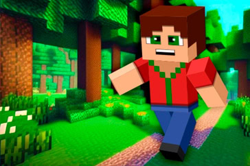 Minicraft: Portada