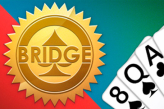 Portada del juego Bridge