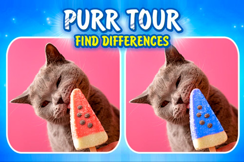 Purr Tour Find Differences